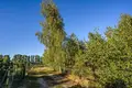 Atterrir 500 m² Perkowo, Pologne