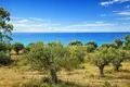 Atterrir 4 770 m² Neos Marmaras, Grèce