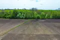 Atterrir 1 293 m² Zabno, Pologne