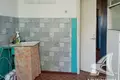 Wohnung 2 zimmer 52 m² Tscharnautschyzy, Belarus