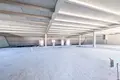 Lager 1 210 m² Agia Varvara, Zypern