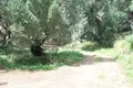 Земельные участки 1 комната  Беницес/Мпенитсес, Греция