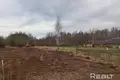Parcelas  Akciabrski sielski Saviet, Belarús