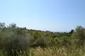 Land 1 room 7 000 m² Agia Paraskefi, Greece
