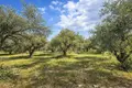 Atterrir 9 205 m² Neos Marmaras, Grèce