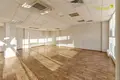 Commercial property 195 m² in Minsk, Belarus