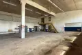 Коммерческое помещение 828 м² Витебск, Беларусь