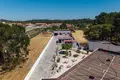 Wohnung 16 Schlafzimmer 1 076 m² Caldas da Rainha, Portugal