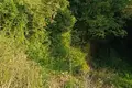 Atterrir  Kunje, Monténégro