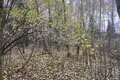 Działki  Troick, Rosja