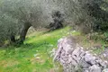 Land 1 room  Agnitsini, Greece