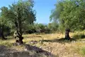Земельные участки 1 комната  Като Агиос Маркос, Греция