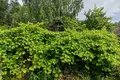 Дом  Плещеницкий сельский Совет, Беларусь