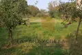 Земельные участки  Огородники, Беларусь