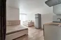 Wohnung 1 zimmer 30 m² Minsk, Belarus