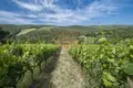 Propiedad comercial 675 m² en Greve in Chianti, Italia