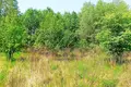 Grundstück 1 438 m² Pniewo, Polen