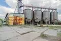 Apartment 5 000 m² Bialosliwie, Poland
