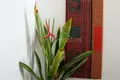 Villa 4 chambres 960 m² Ban Bang Thao, Thaïlande
