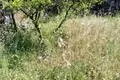 Дом 2 комнаты 69 м² Даниловград, Черногория