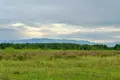Działki  Shekvetili, Gruzja