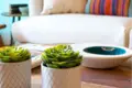 Wohnung 1 Schlafzimmer 67 m² Madalena, Portugal
