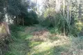 Land 1 room 3 330 m² Pachatika, Greece