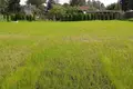 Land  Vimbukrogs, Latvia