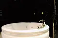 1 bedroom apartment 57 m² Mediterranean Region, Turkey