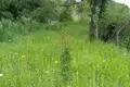 Land  Dobra Voda, Montenegro