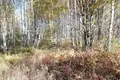 Land 1 200 m² gorodskoj okrug Bor, Russia
