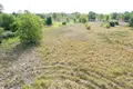 Land 1 room 3 902 m² Otwock, Poland