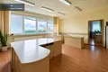 Gewerbefläche 375 m² in Alitten, Litauen