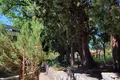 Дом 4 комнаты  Петровац, Черногория