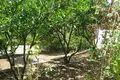 Дом 3 спальни 100 м² Община Колашин, Черногория