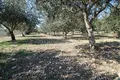 Parcelas 2 700 m² Kastel Stafilic, Croacia