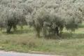 Земельные участки 1 комната  Municipality of Sithonia, Греция