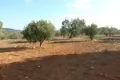 Atterrir 1 chambre  Nikiti, Grèce