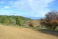 Land 1 room  Paliouri, Greece