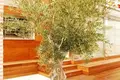 7 bedroom villa 700 m² el Campello, Spain
