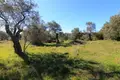 Земельные участки 1 комната 44 000 м² Municipality of Southern Corfu, Греция