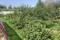 House 113 m² Minsk, Belarus