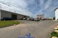 Propiedad comercial 493 m² en Minsk, Belarús