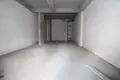 Geschäft 90 m² Esenyurt, Türkei