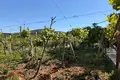 House 60 m² Babice e Madhe, Albania