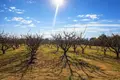 Atterrir 5 400 m² Nea Triglia, Grèce