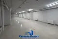 Коммерческое помещение 170 м² в Минске, Беларусь