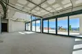 Haus 8 zimmer 998 m² Finestrat, Spanien