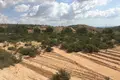 Land 3 bedrooms 400 m² Crevillent, Spain