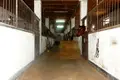 Gewerbefläche 3 210 m² Zupranski sielski Saviet, Belarus